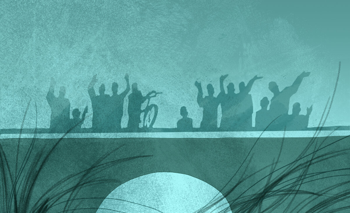 Иллюстрация Ольги Тамкович