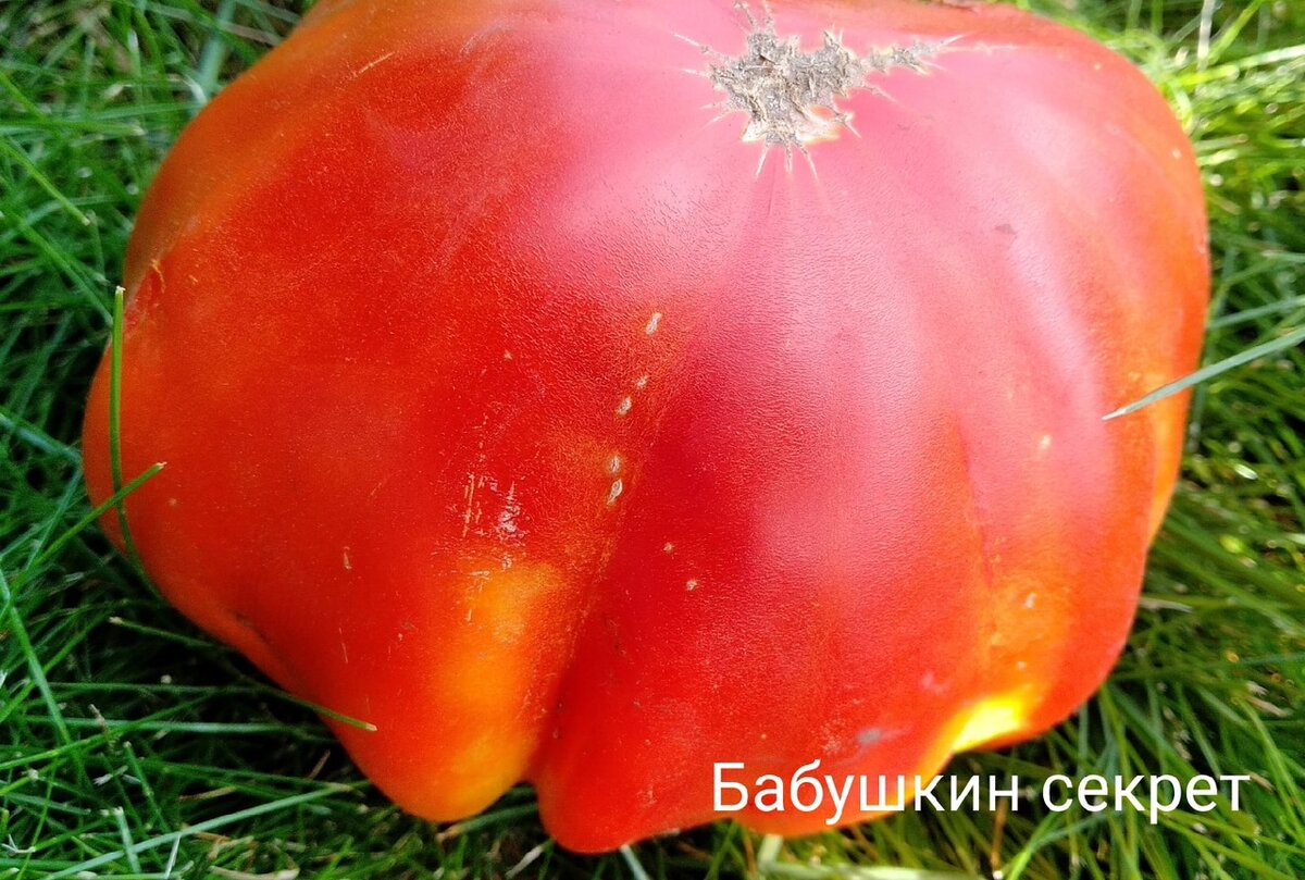 Достоинств у сорта много