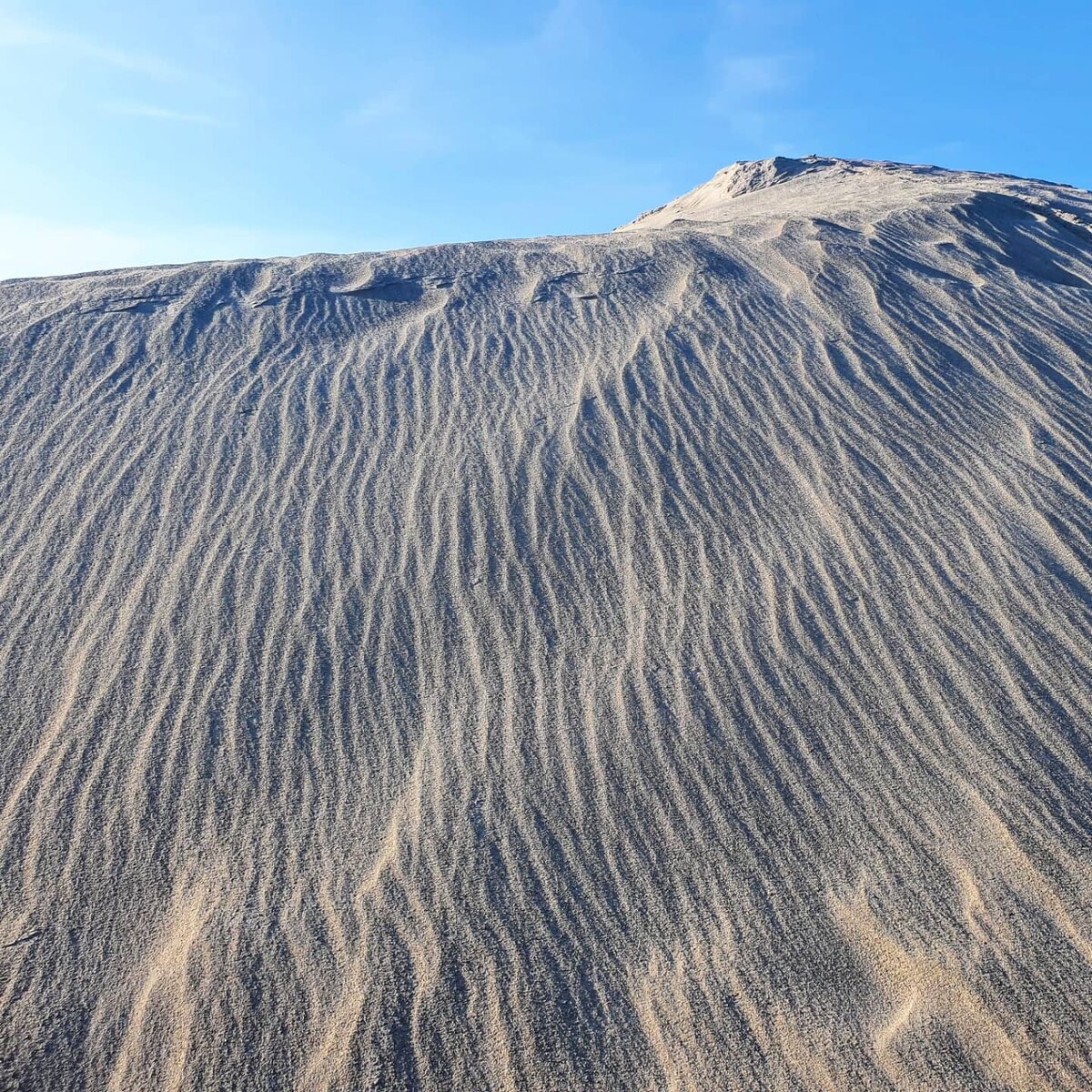 Рукотворная уральская пустыня близ Кыштыма. Август 2021 г.