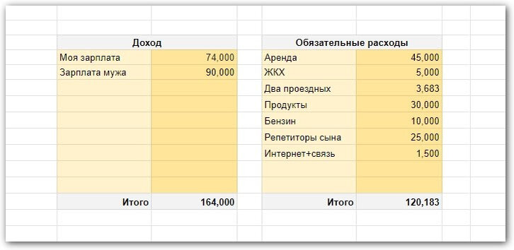 Большая часть бюджета в начале года уходила на аренду квартиры, продукты и репетиторов для сына — он поступил в вуз в этом году. Еще немало стоил бензин — муж часто мотался по городу по работе. Ну, а мы с сыном покупали проездные на 90 дней