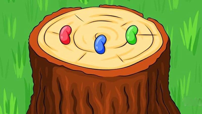 фото Яндекс.Картинки 