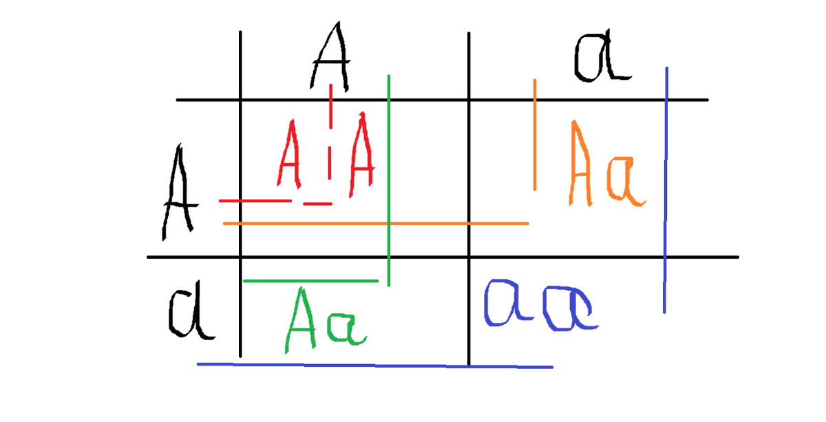 Решетка Пеннета
