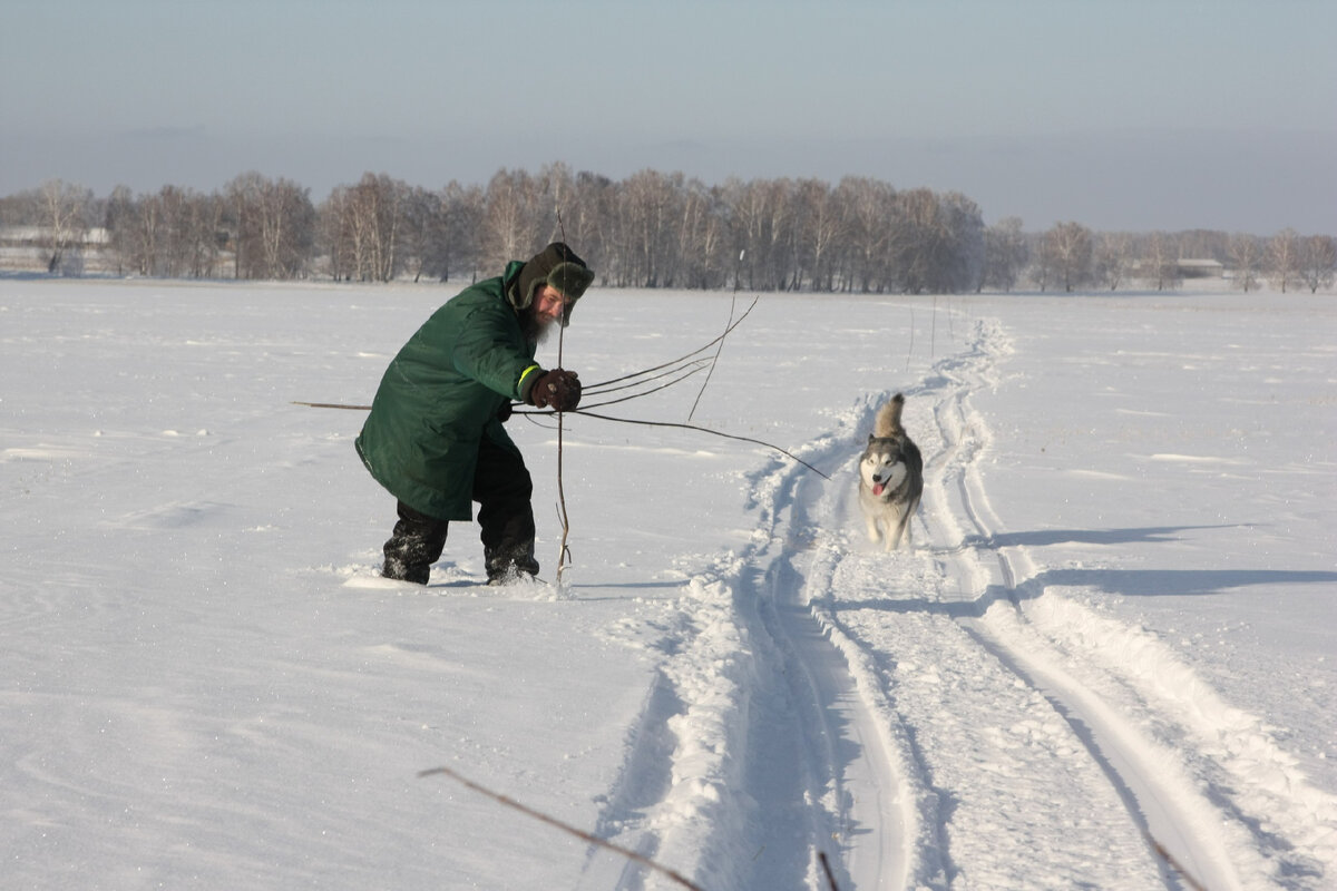 Установка вешек (кленовых прутиков)