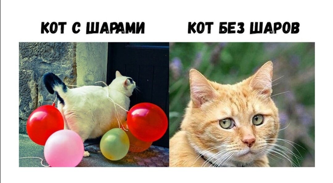 Бедный Йорик... 