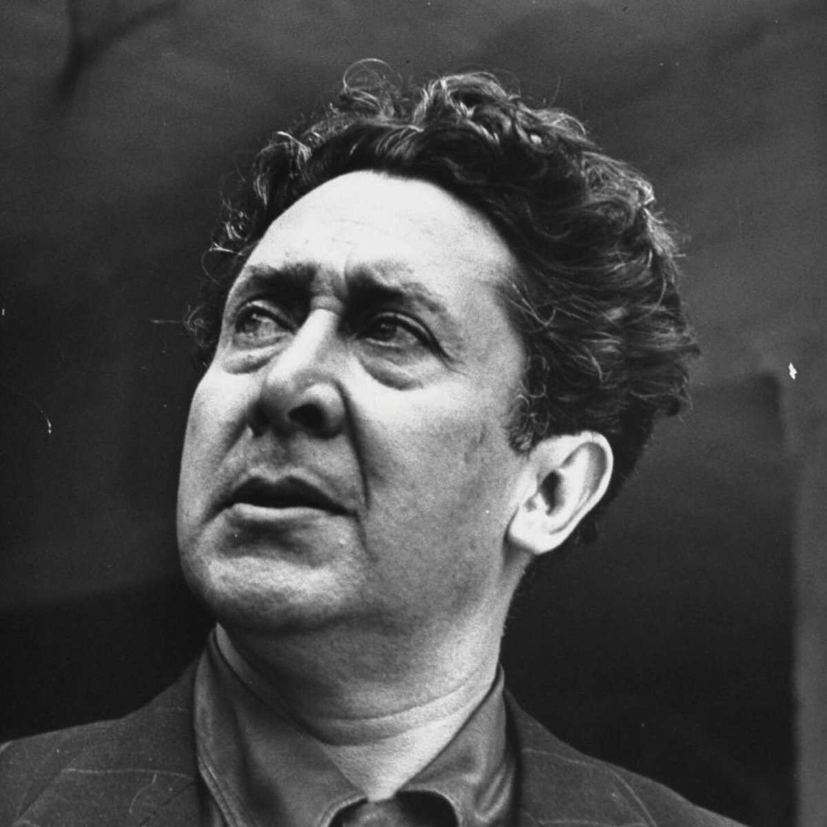 альфаро. альфаро бирюзовый аквариумная рыбка. тетра краснопятнистая. альфаро рыбка аквариумная. альфаро амино.