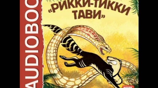 Рикки тикки тави аудиосказка. Книга киплинг рикки тикки тави. Мангуст рикки тикки тави. Мангуст рикки тикки тави диафильмы. Рикки тикки тави чак джонс.