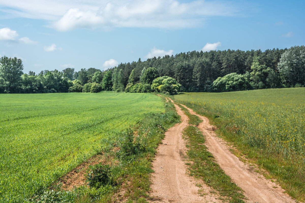 Фото с сайта photocentra.ru