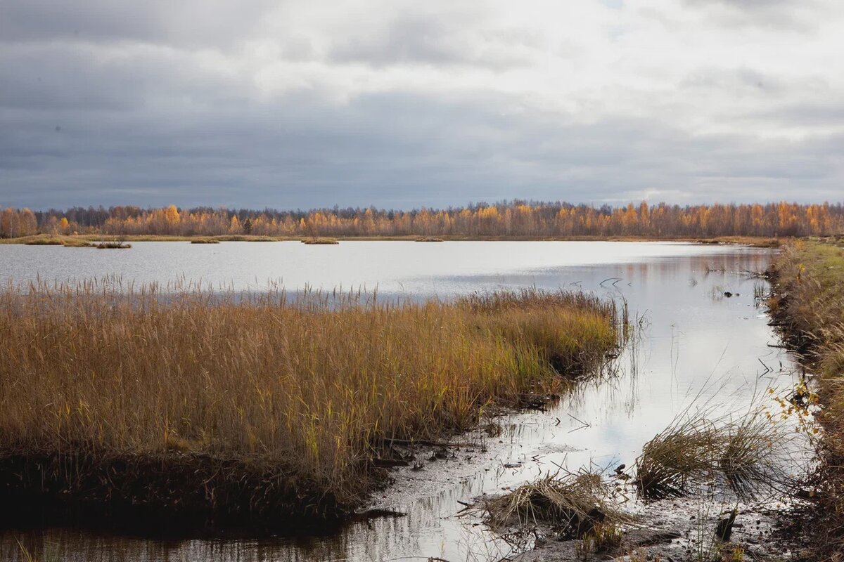 Фото Александра Матвеева