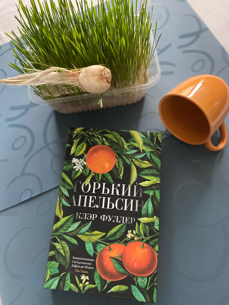 Книжный улов марта - 29 книг! Обзор, разные жанры, много информации!  Держитесь, мало вам точно не покажется)) | Книжная полка Джульетты | Дзен