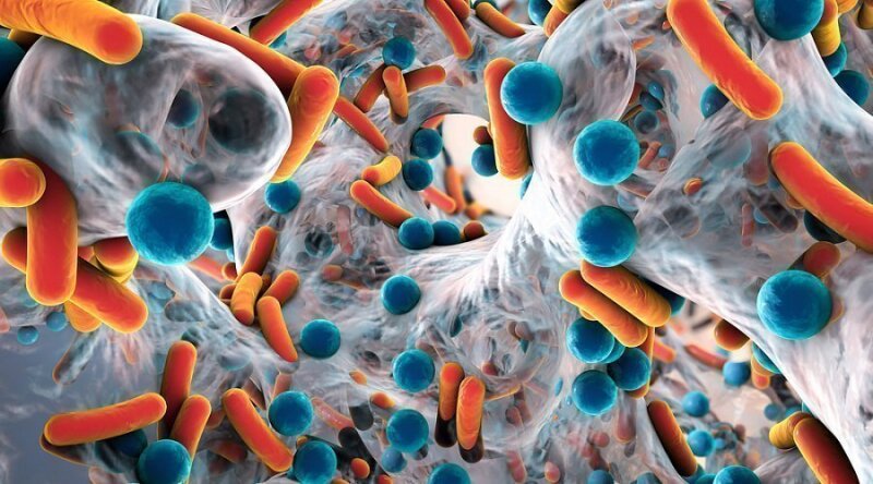 Посев на золотистый стафилококк (S. aureus), количественный результат