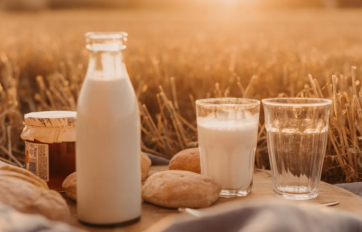 Источник: foractivelife.ru