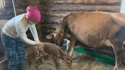 Нажмите на гифку, чтобы её посмотреть