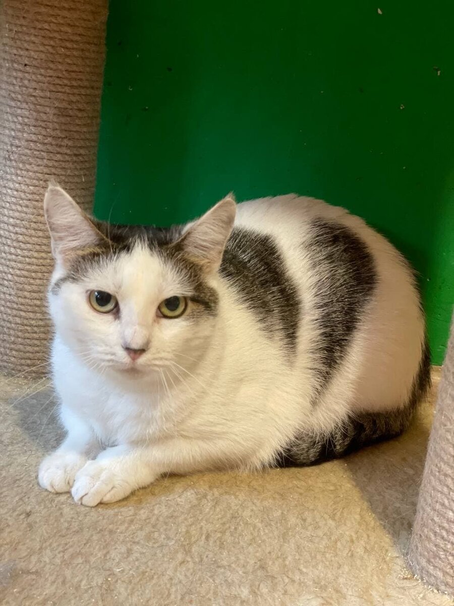 Фото авторов. Герда