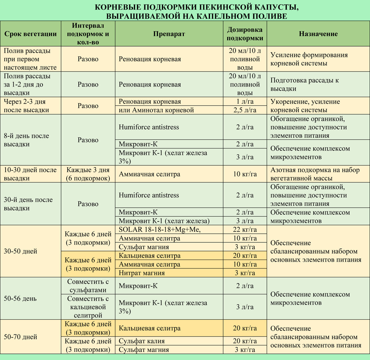 Подкормка овощей в июле. Подкормка капусты таблица. Схема подкормки капусты. Таблица подкормки овощей в открытом грунте. График подкормки рассады капусты.