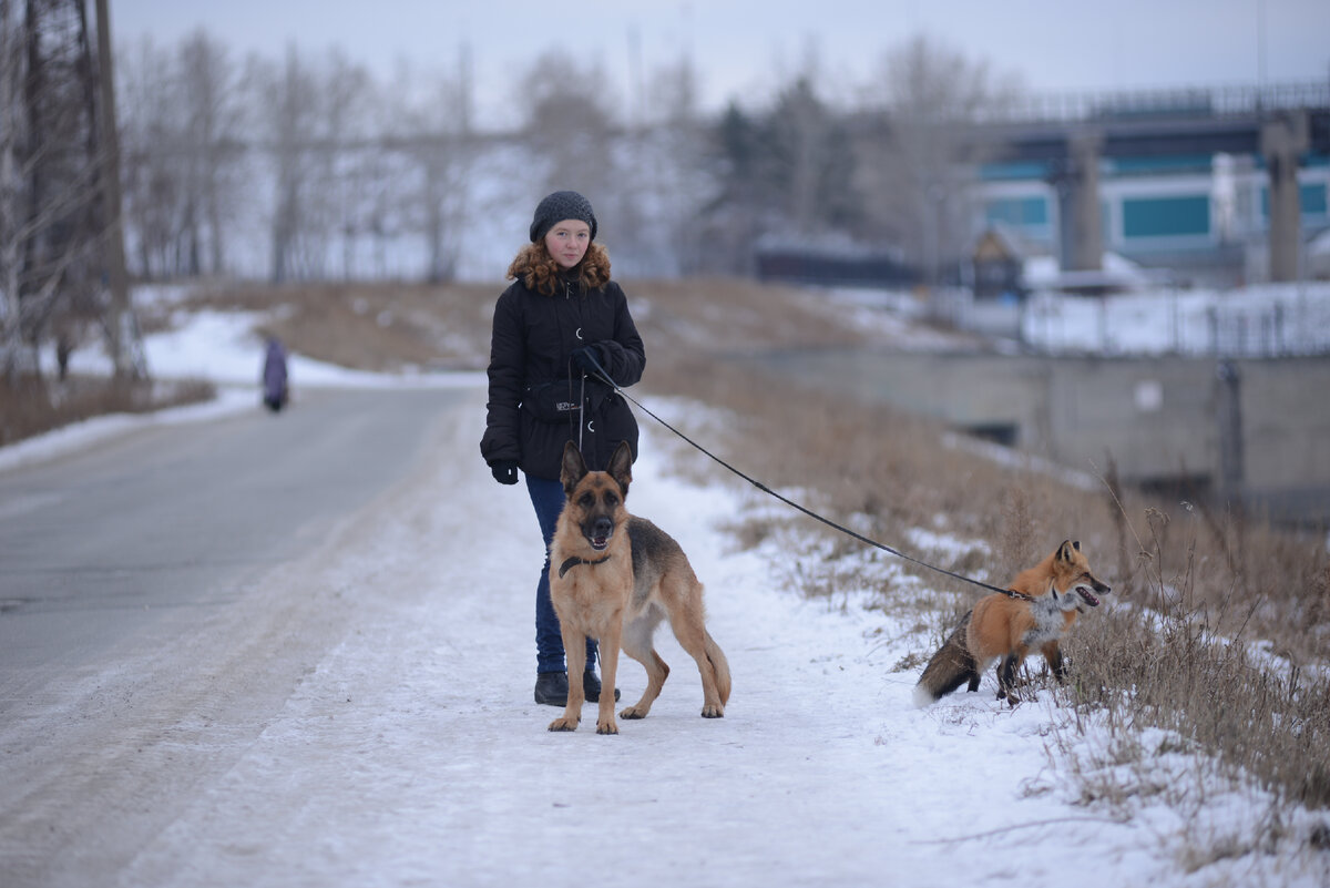 Мы с Кивой и Вильей