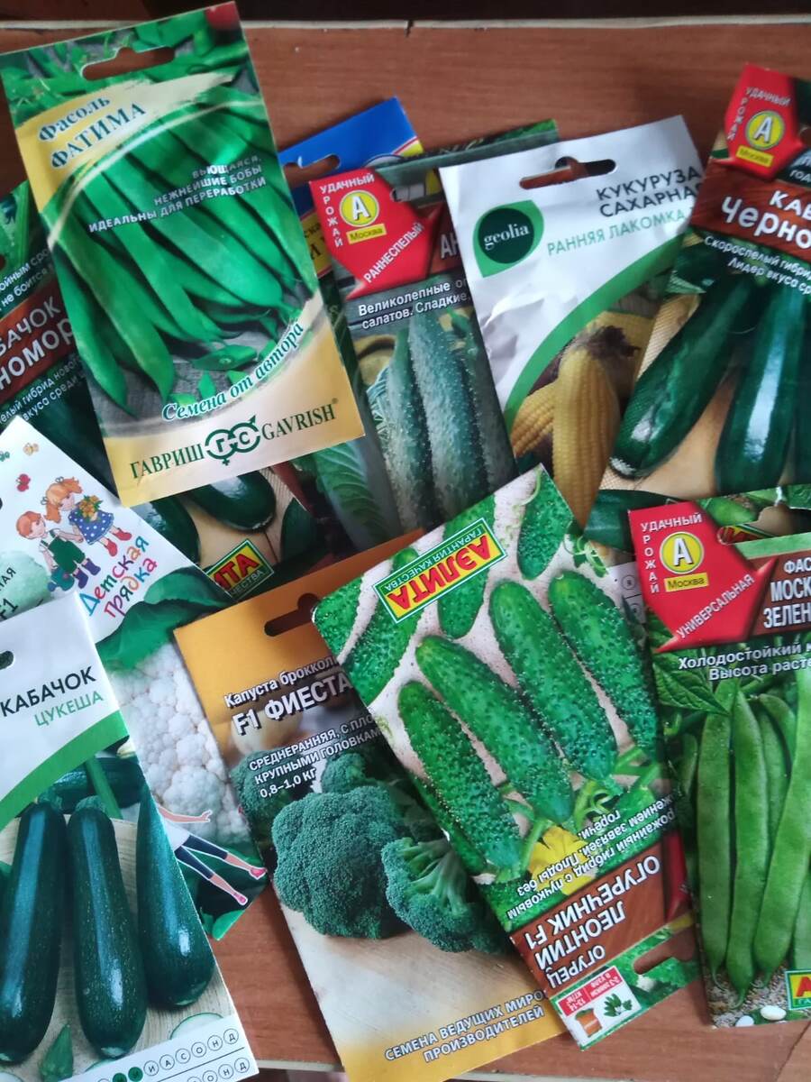 Пробник огорода, блин!! А если не вырастет, угадайте, кто будет виноват? Точно не ретроградный меркурий ...