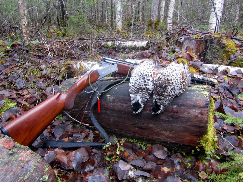 Выбежали...