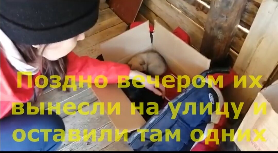 Под тополем на снегу   лежали  они- три девочки и один мальчик .