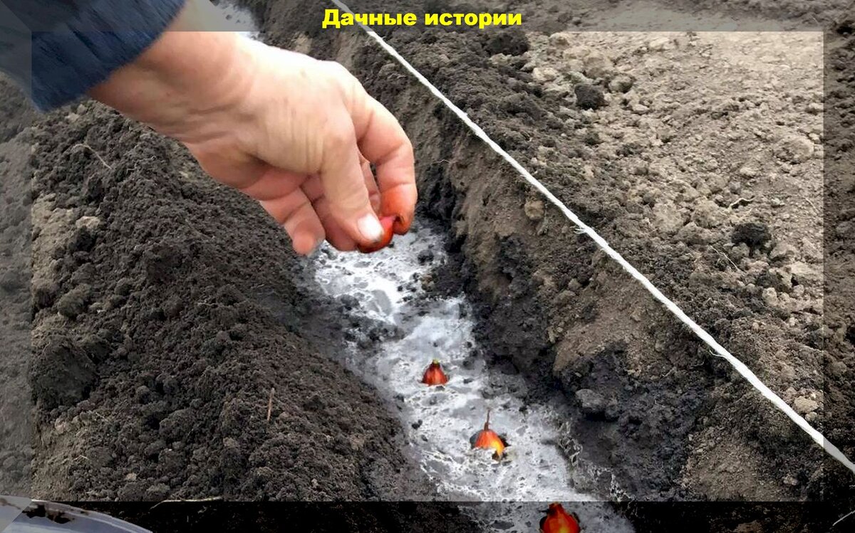 https://vk.com/photo-159774511_457253300
