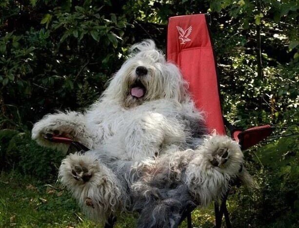 Балдёжность этого фото зашкаливает. 