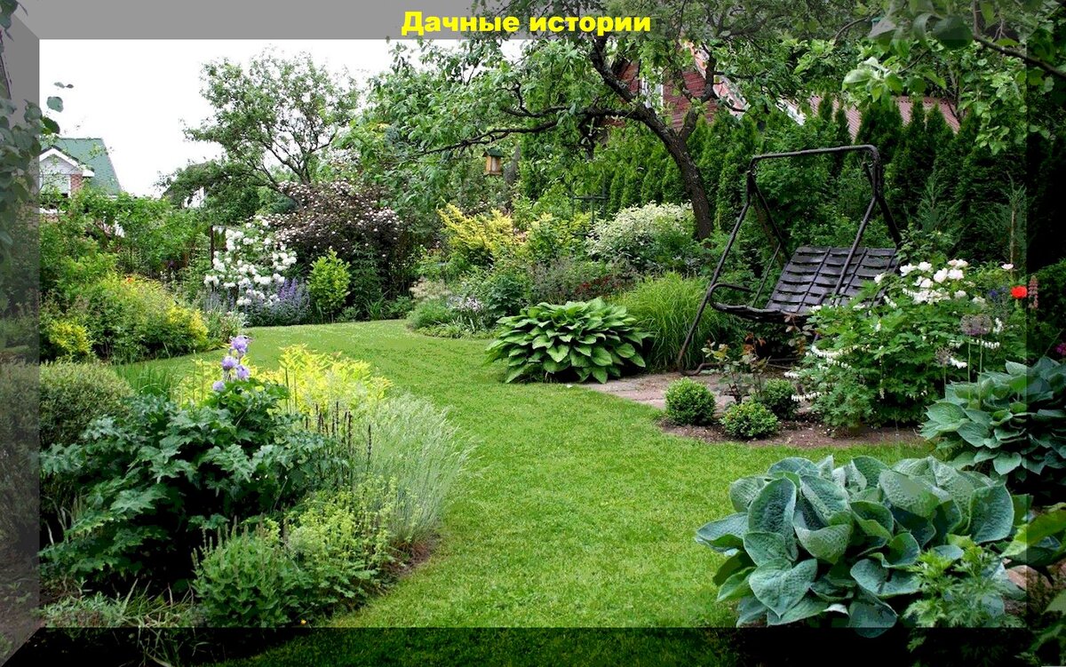 https://vk.com/photo-159774511_457253967