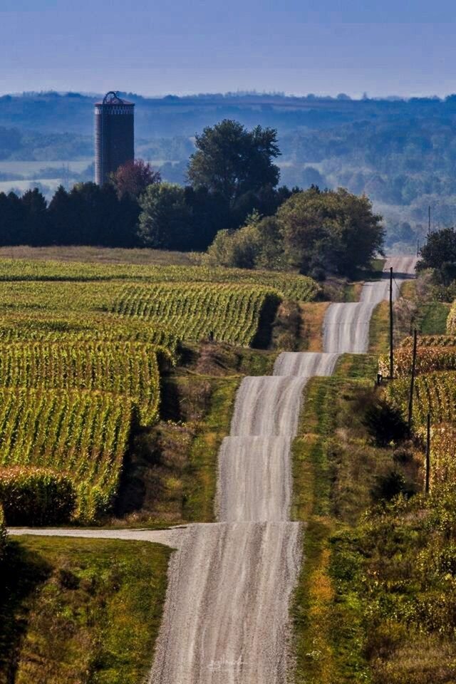 Все изображения интернет.