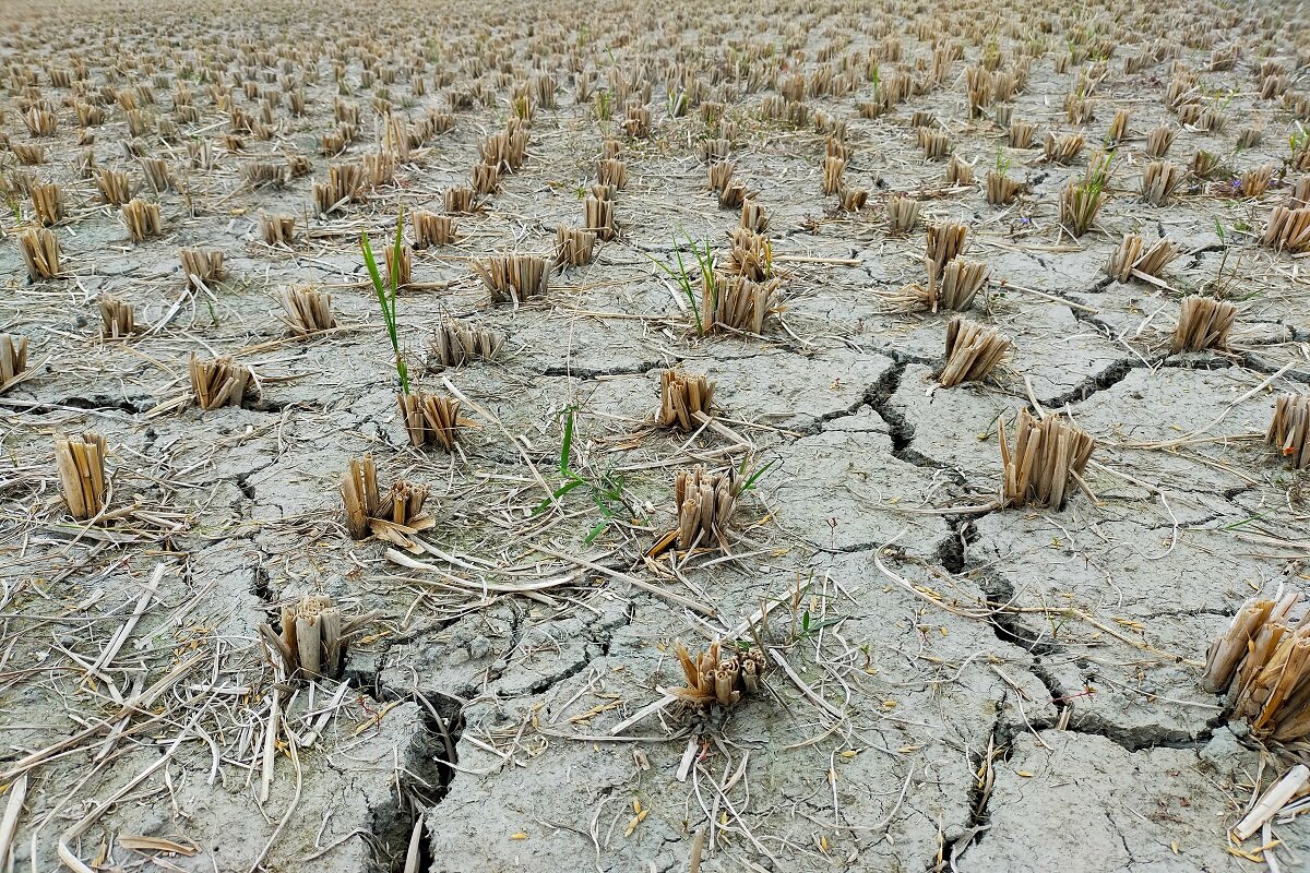 День засухи. Засуха 2022. Засуха в Европе 2022. Засуха в Европе 2022 год. Засуха в Италии.