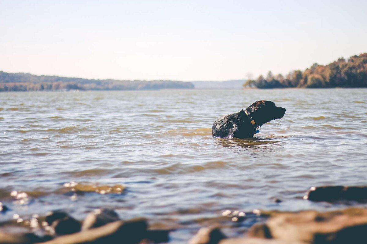Источник фото: Pxhere.com📷
