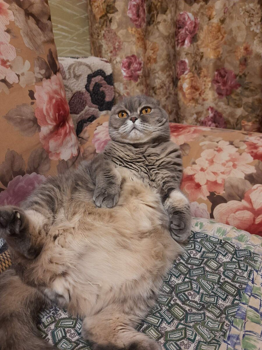 "Я вообще душка-плюшка"