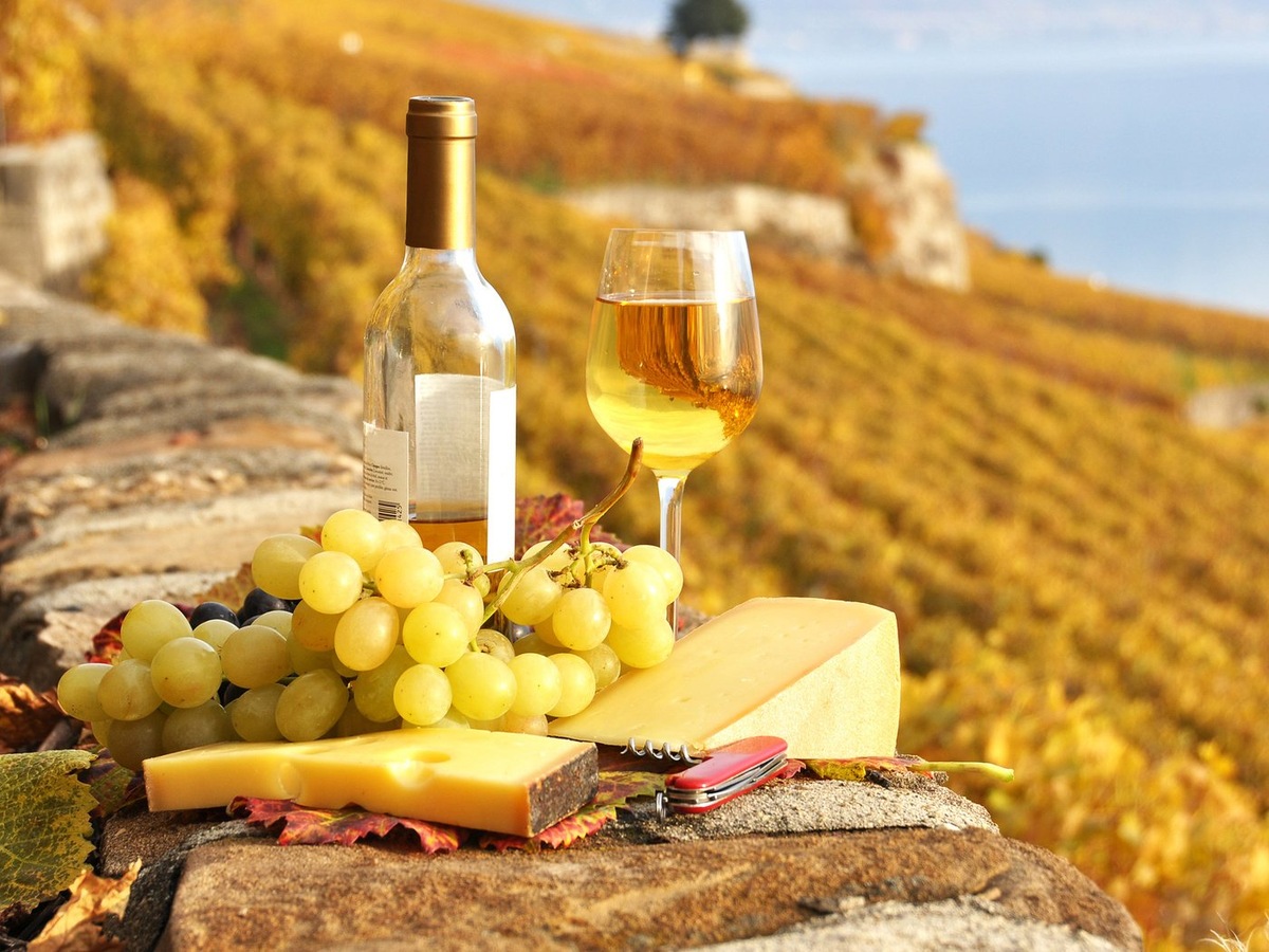 Фото из открытых источников ©