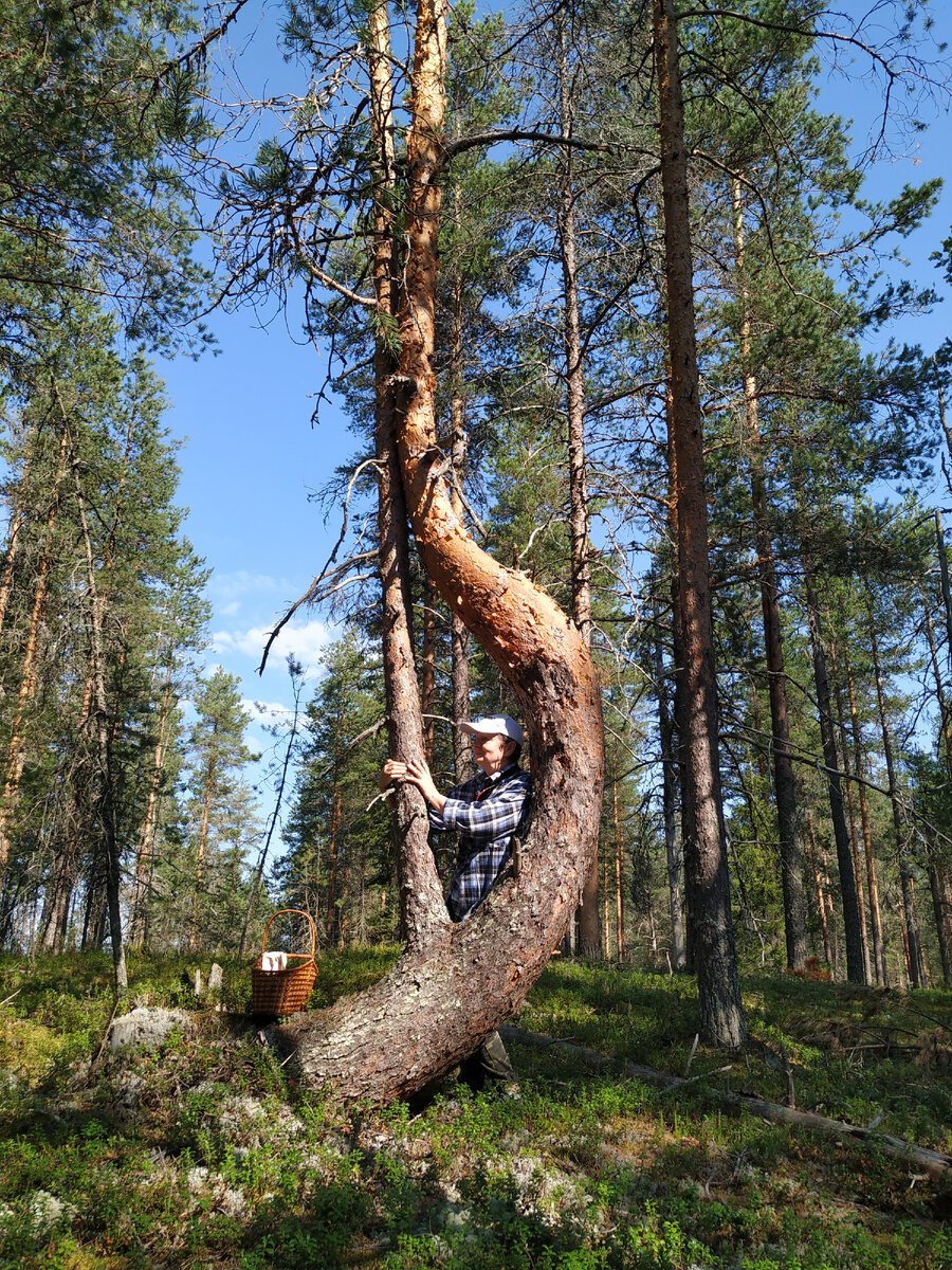 Пришлось и Ирину познакомить с моей подругой(талисманом).