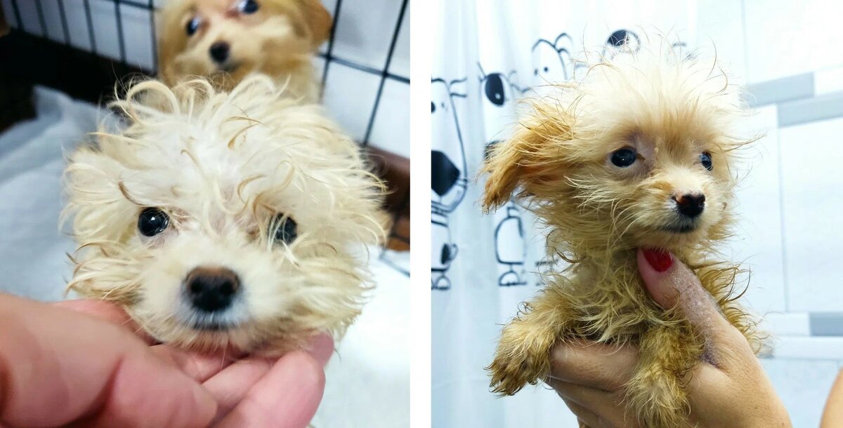 День приезда.