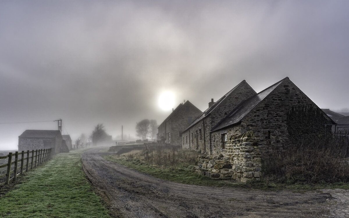 яндекс картинки