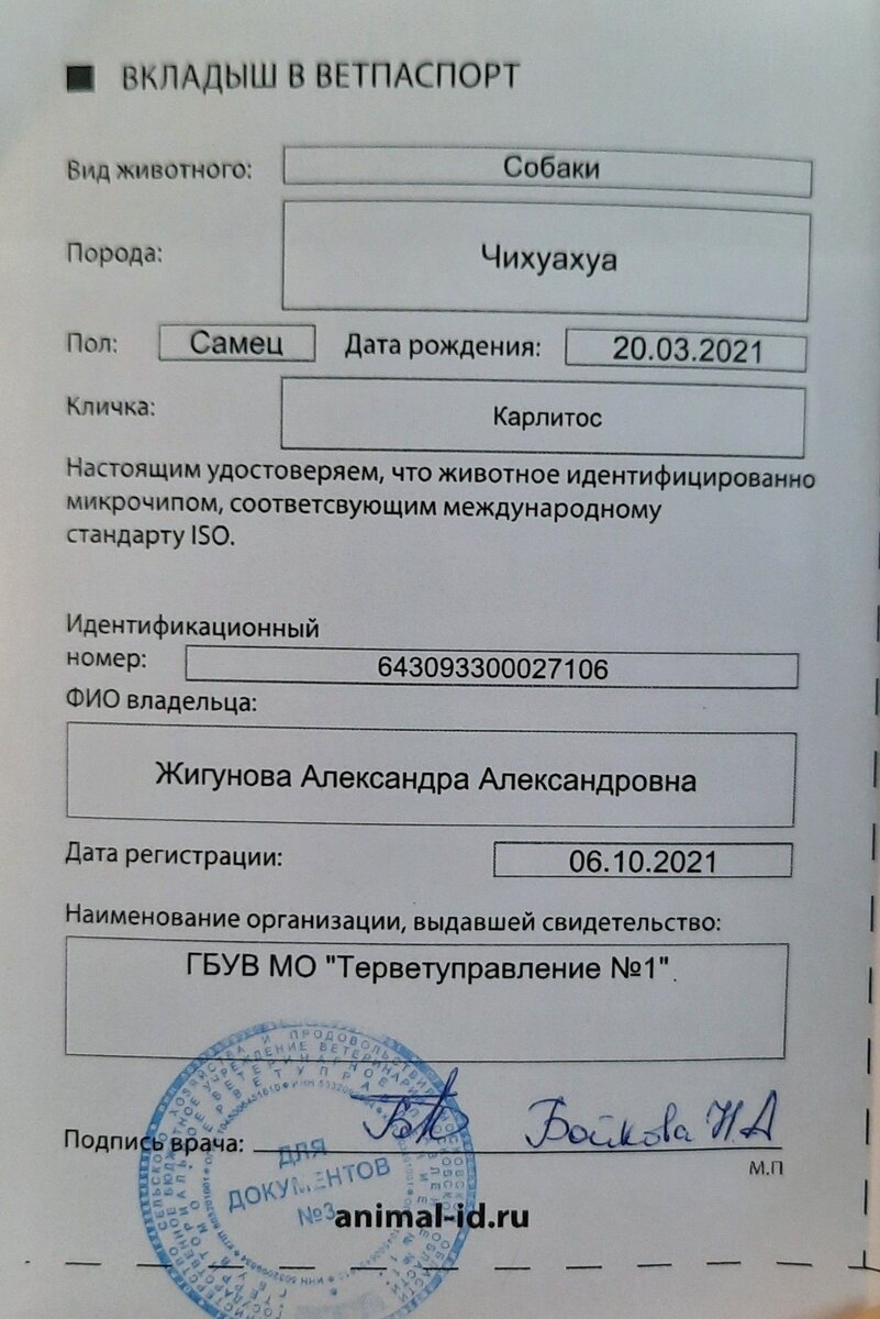 Вкладыш в паспорт, оформленный в государственной ветеринарной клинике. Из личного архива.