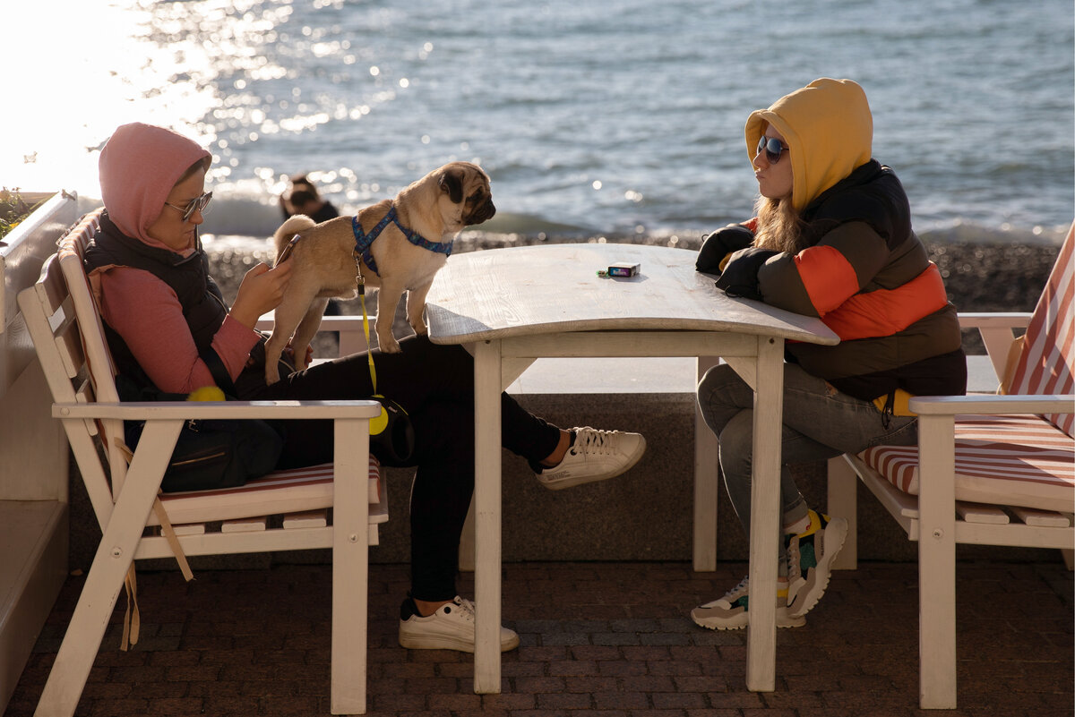   
 Фото: Дмитрий Феоктистов/ТАСС