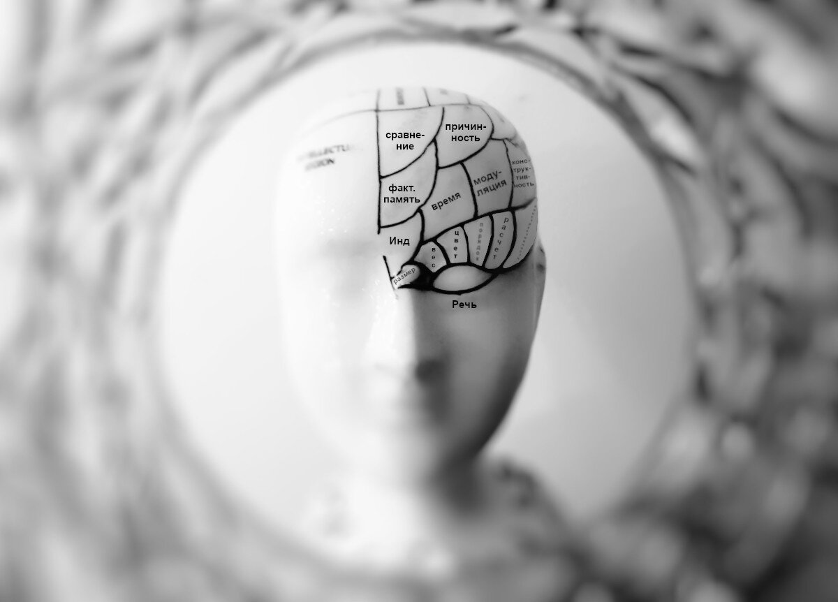 Источник: pexels.com, фотограф meo