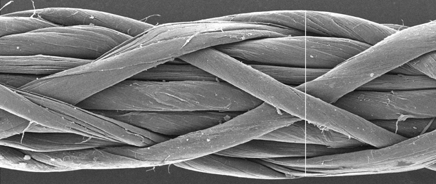 Углеродная нанотрубка