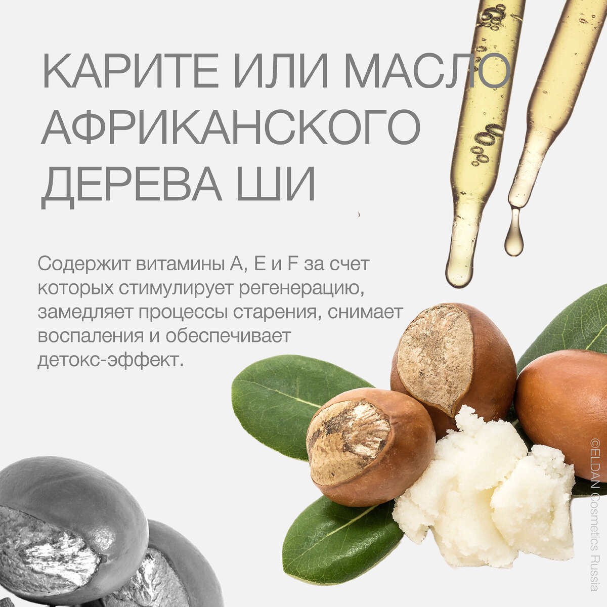 Календарь великого поста. Пища в пост пасхальный. Перечень продуктов разрешенных в пост. Питание в пост перед пасхой. Какое масло можно в пост.