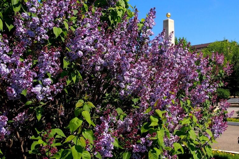    Первомай встречает жителей Оренбургской области солнцем и тридцатиградусной жарой Андрей Севостьянов