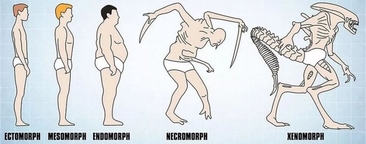Взято из свободного доступа. Мой тип - крайний слева :))