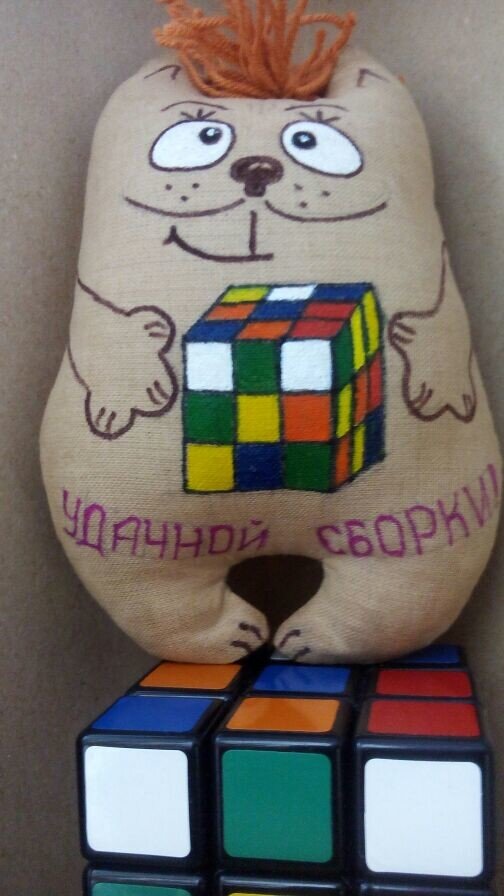 Кот с кубиком Рубика
