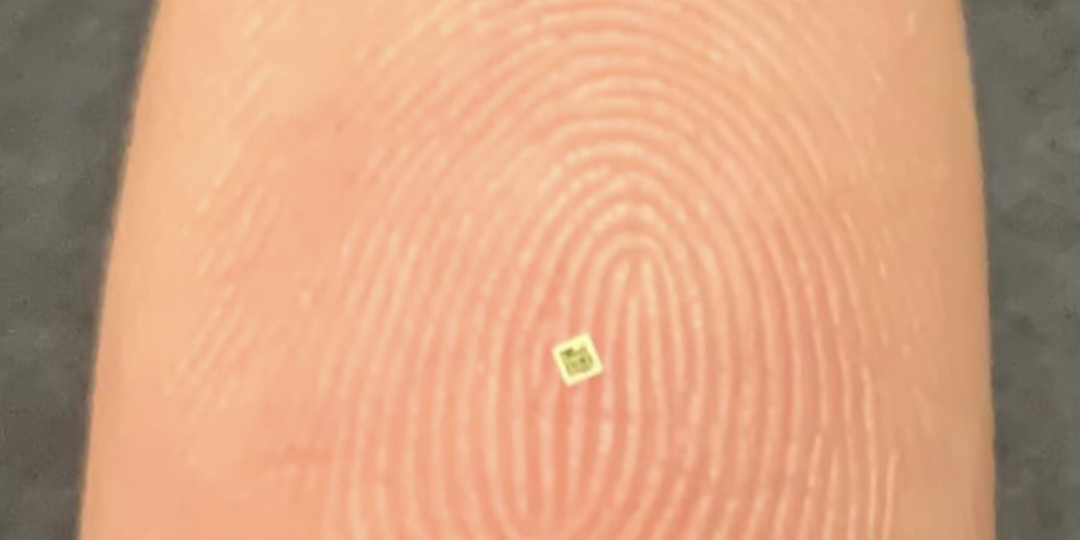 Люди начали находить микрочипы в еде! Это как понимать? Рассказываю