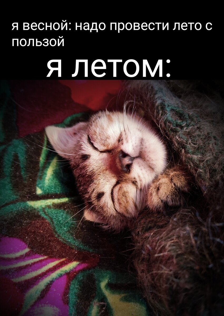 Жиза)