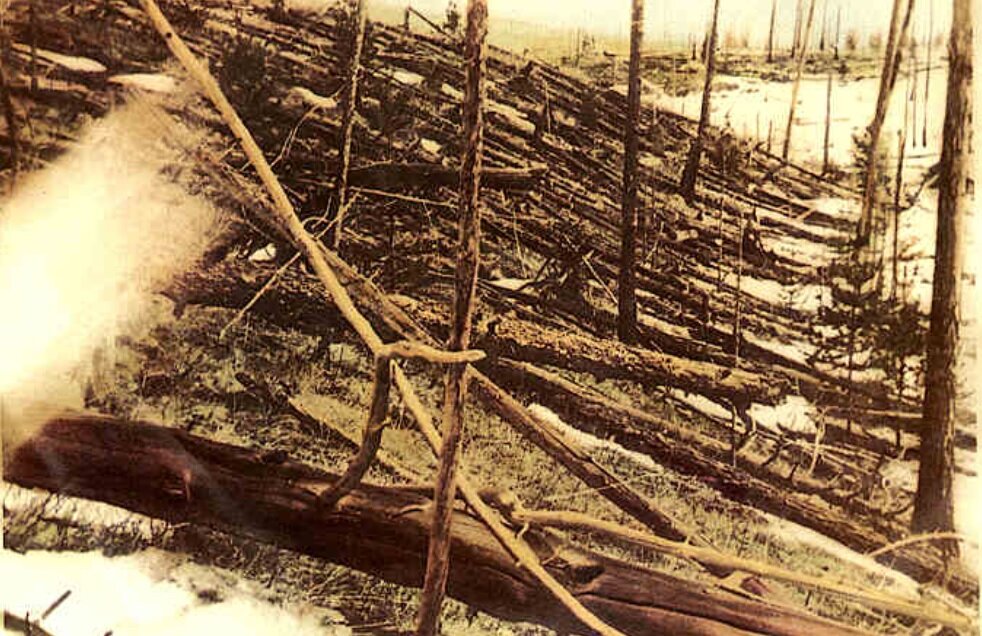 Ореольный бурелом в районе падения тела. Фото 1932 года. Википедия.