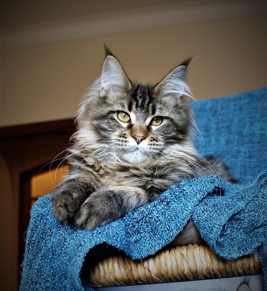 Фото из личного архива. Мироджейн Котоамацуками