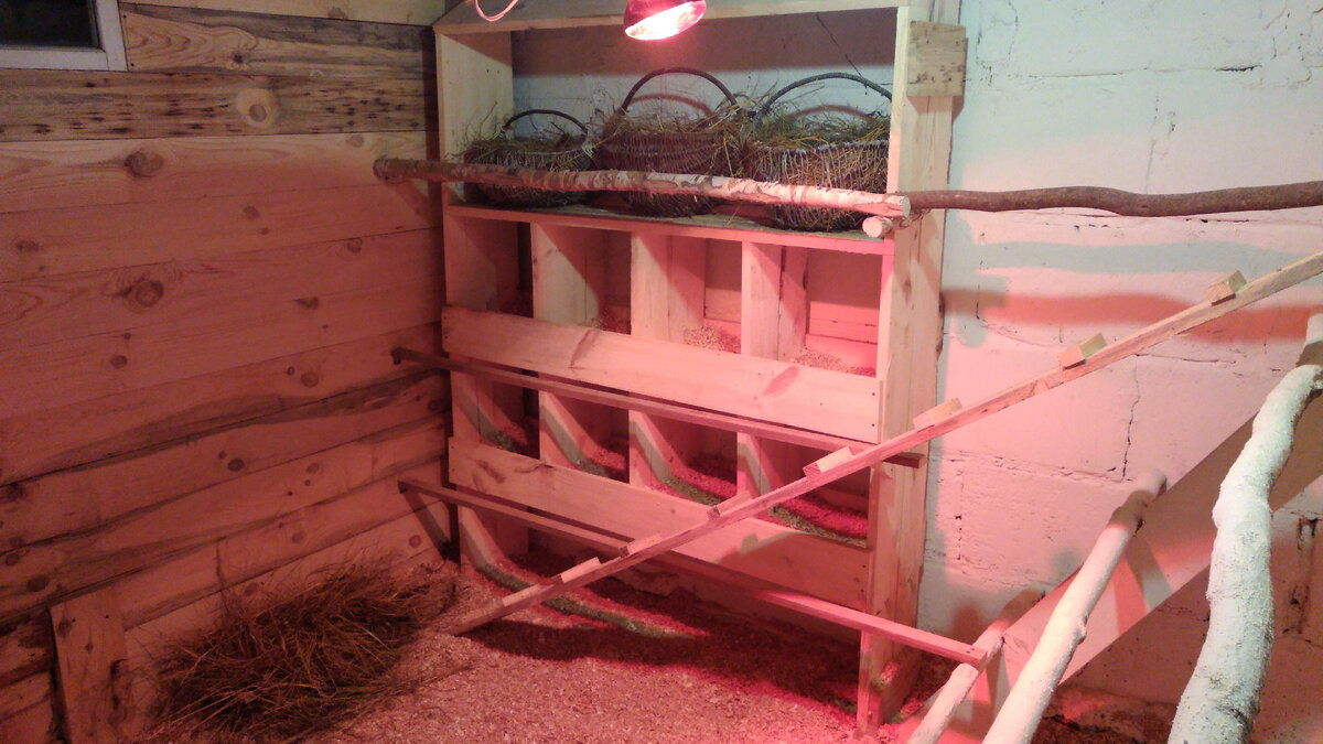 Мой курятник 3х3м