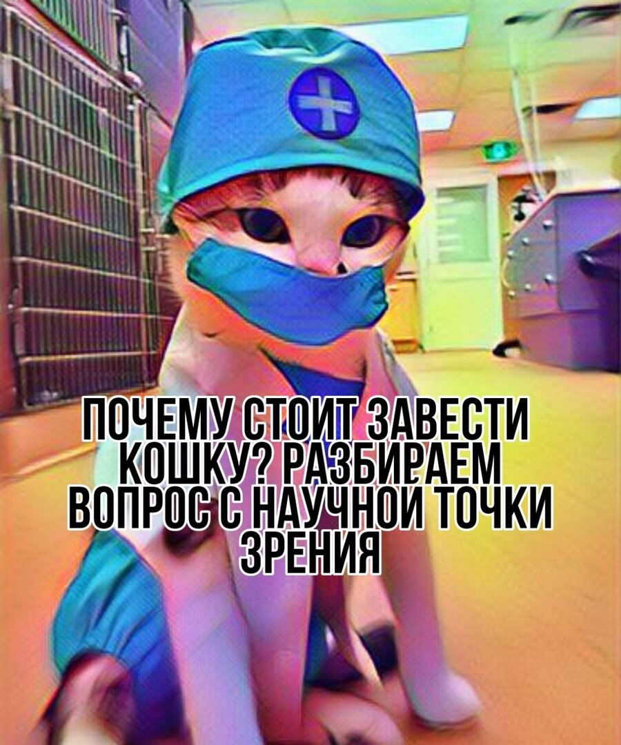 яндекс картинки