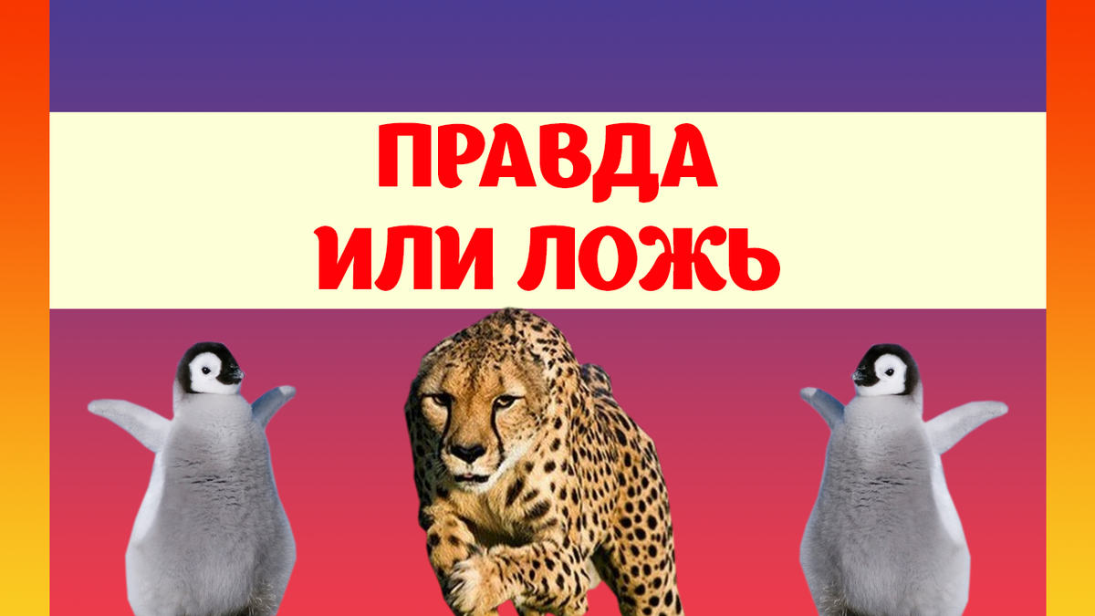 Знание животных