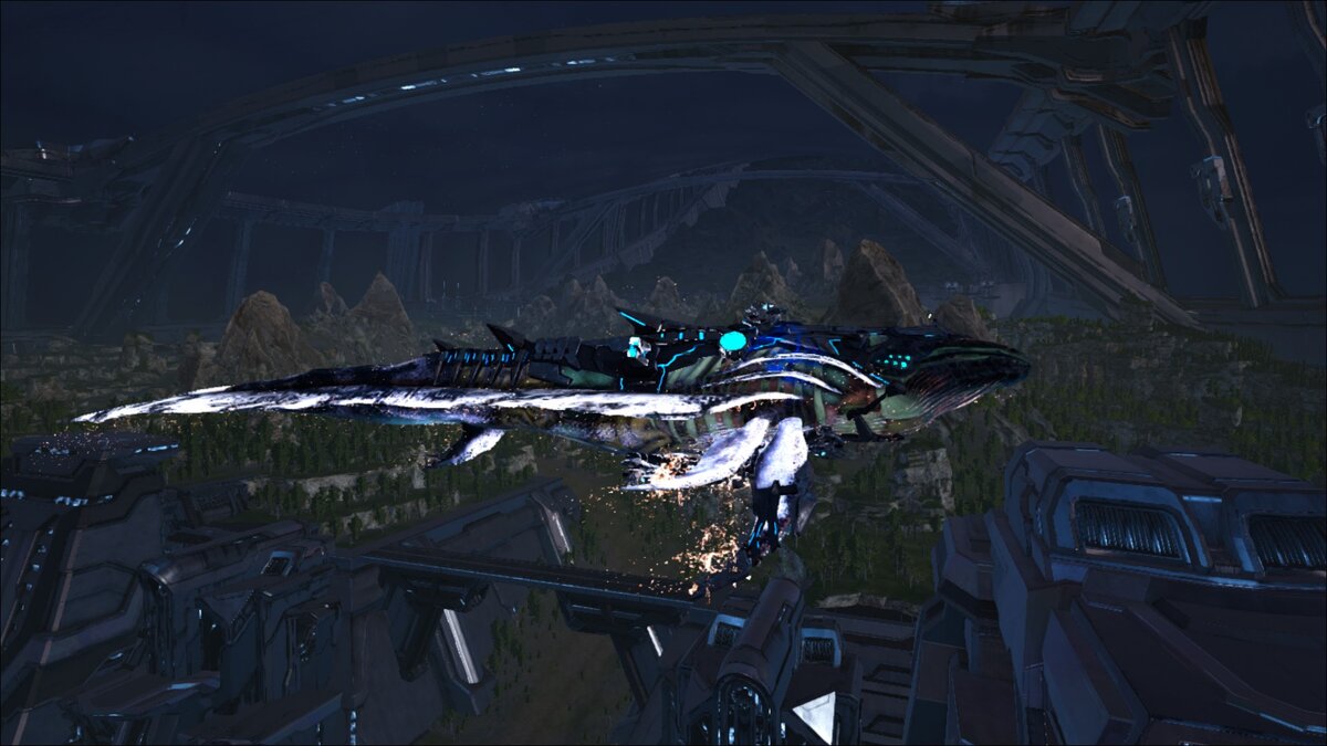 Звездный кит