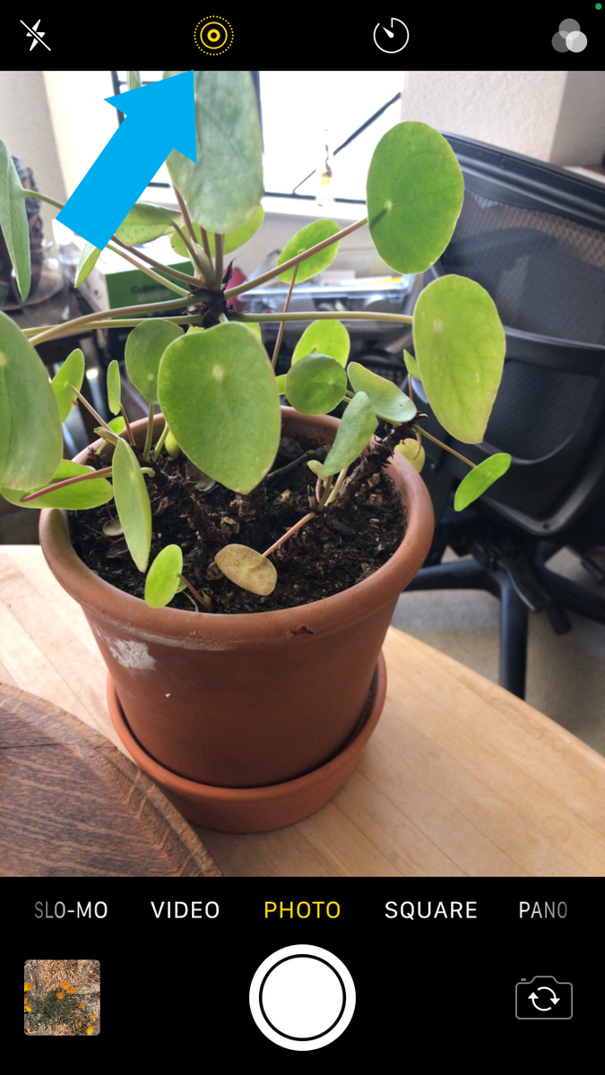 Чтобы перейти в Live, нажмите кнопку.